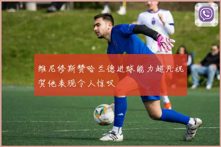 维尼修斯赞哈兰德进球能力超凡祝贺他表现令人惊叹